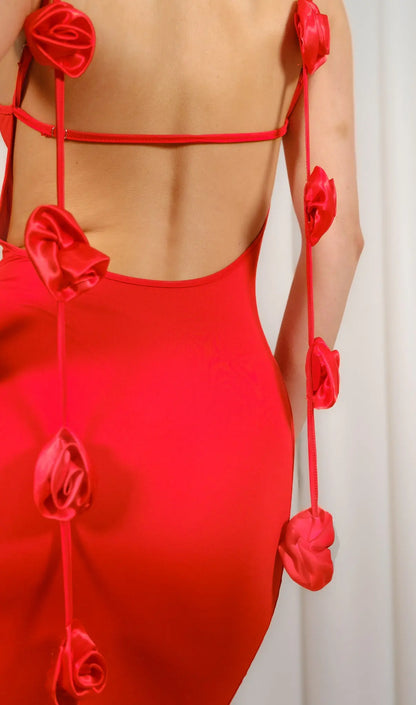 Arabella Rosette Maxi Dress Little Addiction
